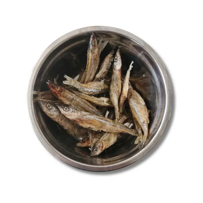 Charales - Refuerzo Óseo - Image 3